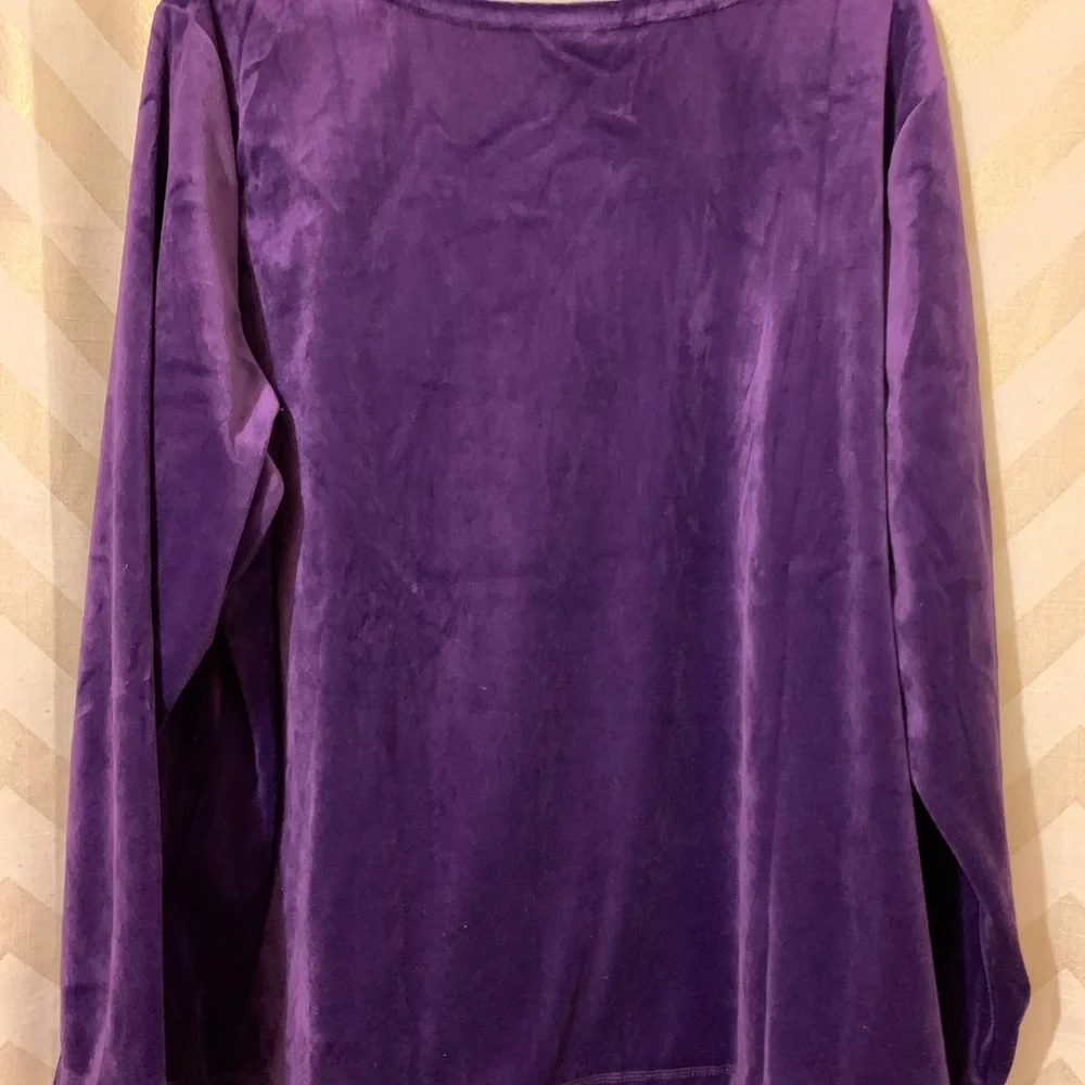 Plus Size Tunic Velour Top - Picture 2 of 3